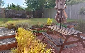 Norwich City, Lovely 3 Bed House, Ev Charger, Garden With Bbq, Free Parking For 3 Cars